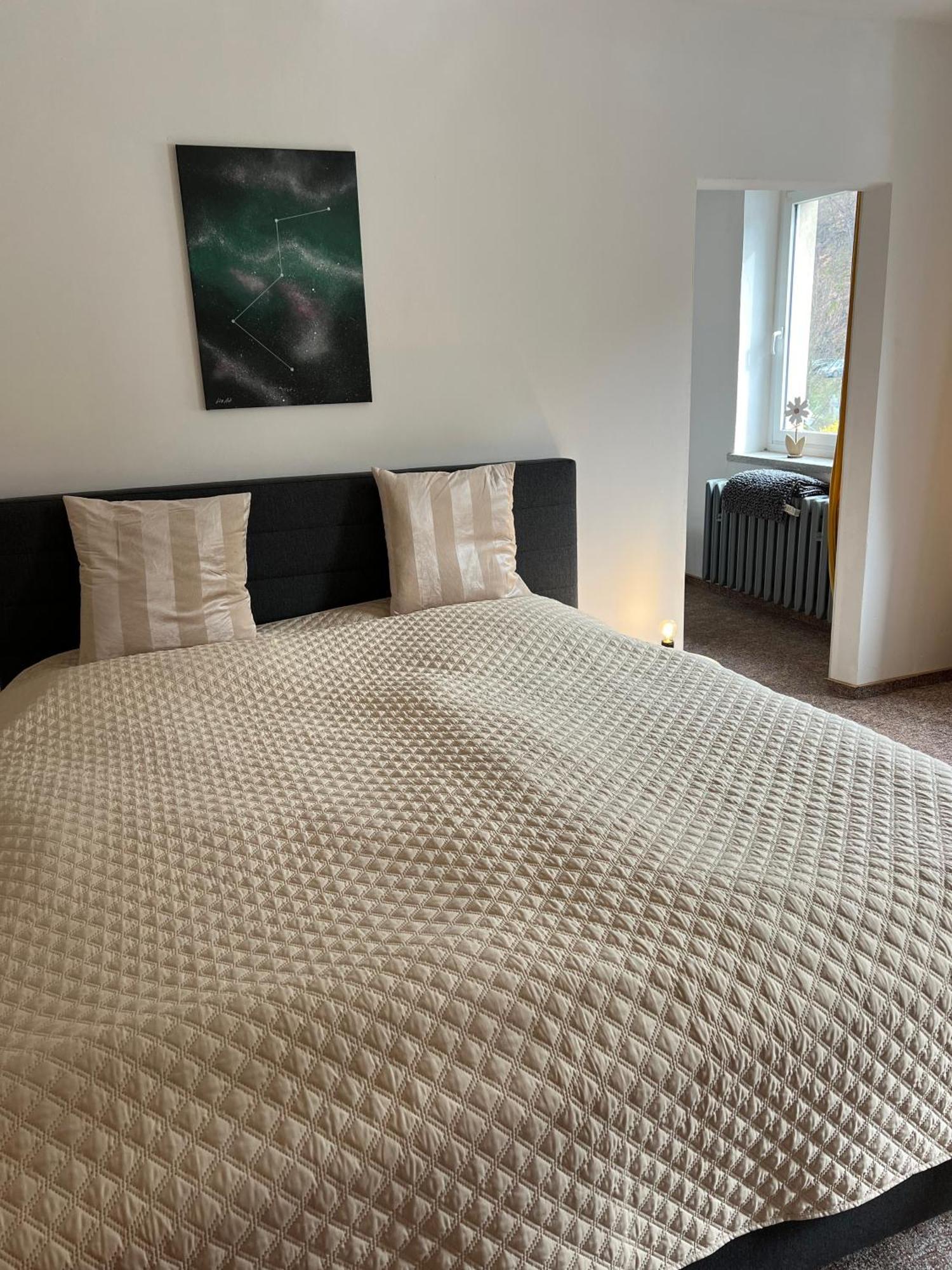 Pension Sternschnuppe, Treseburg Harz, Unmittelbar Am Wasser Тале Екстериор снимка