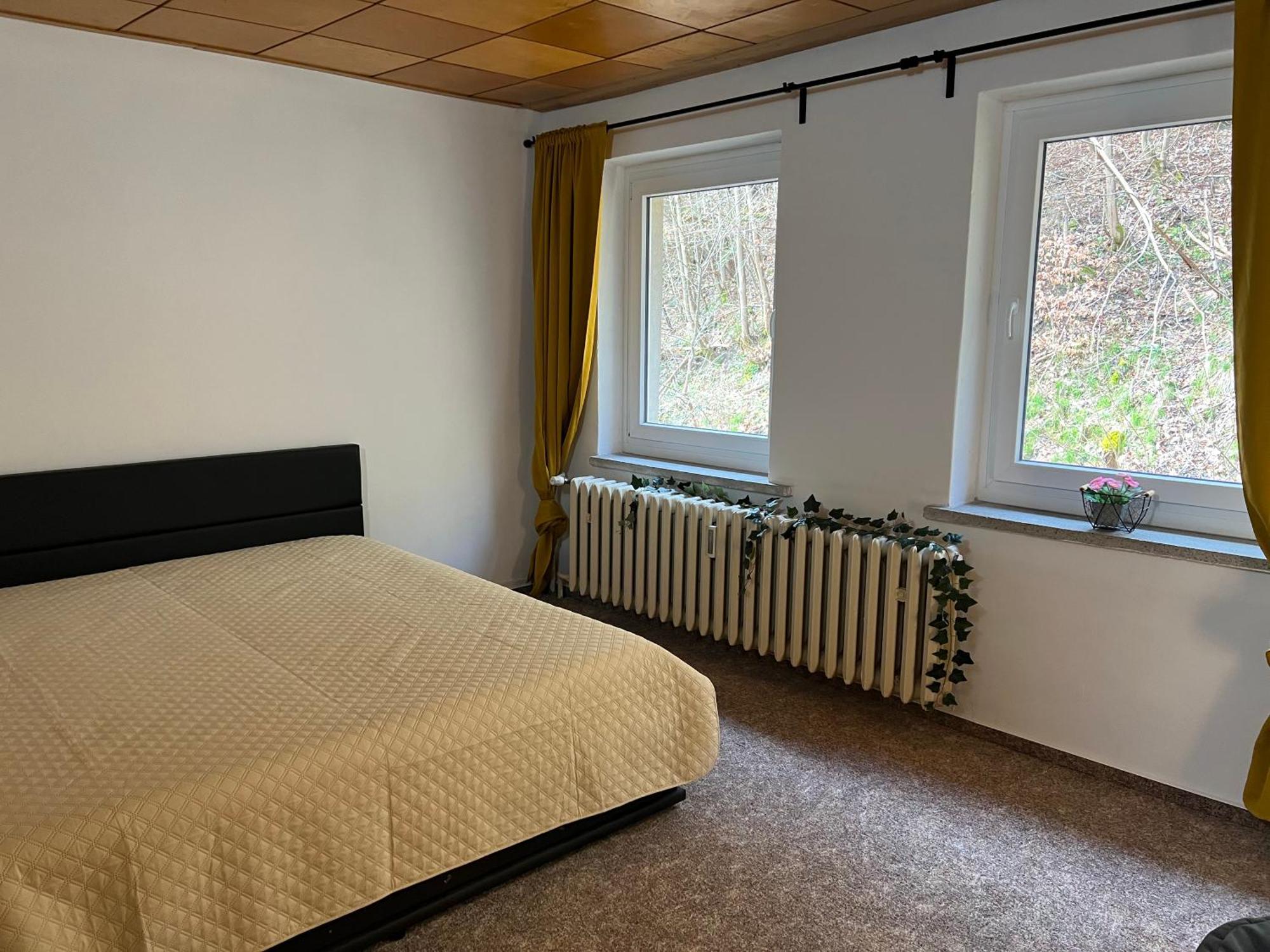 Pension Sternschnuppe, Treseburg Harz, Unmittelbar Am Wasser Тале Екстериор снимка