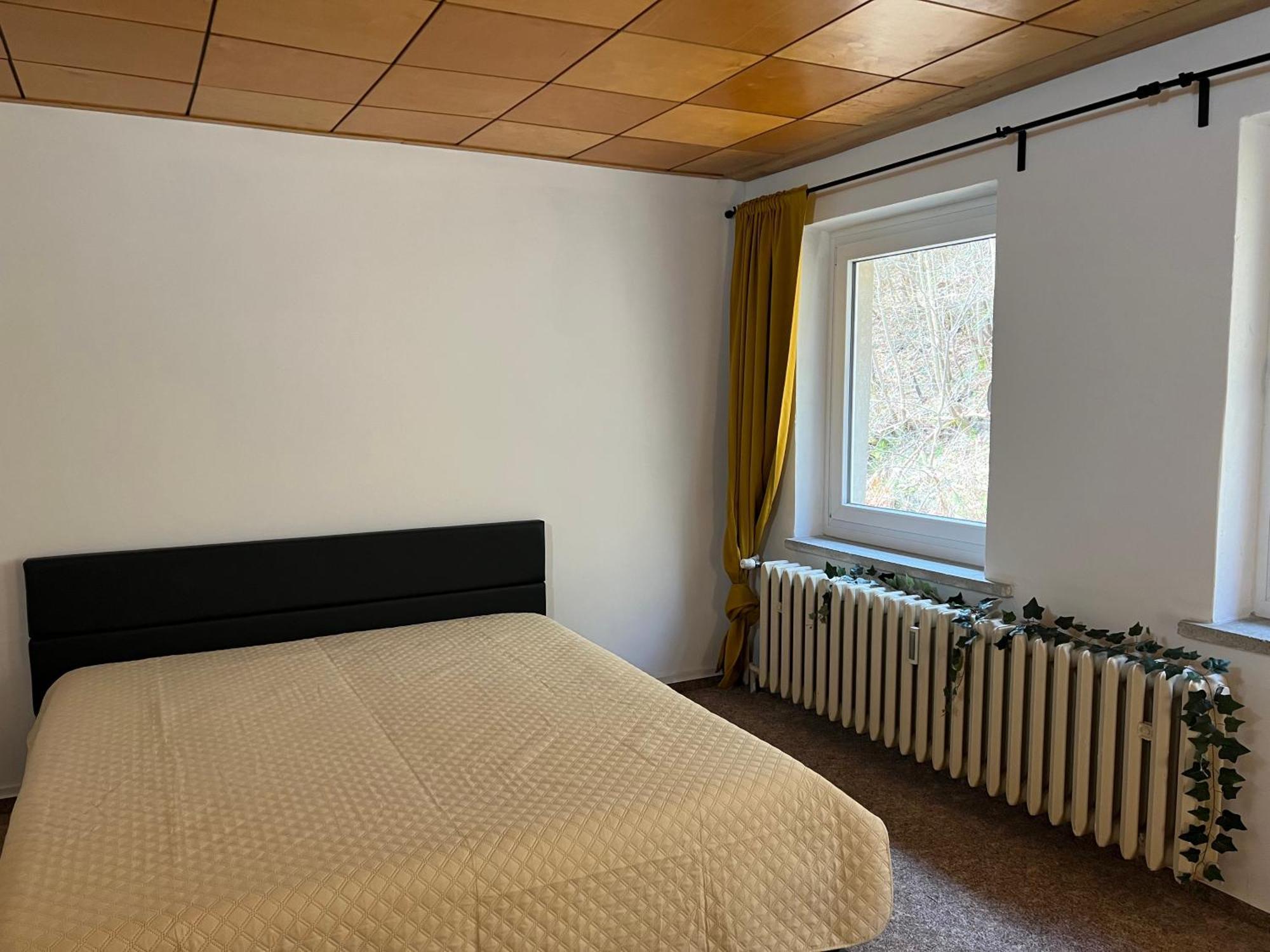 Pension Sternschnuppe, Treseburg Harz, Unmittelbar Am Wasser Тале Екстериор снимка