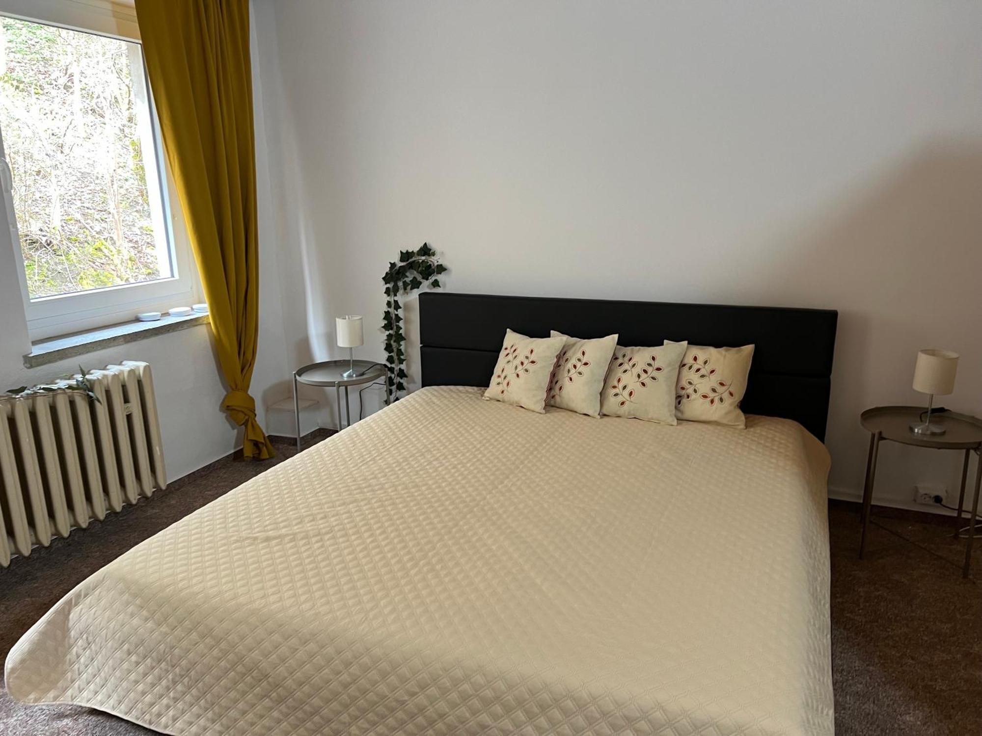 Pension Sternschnuppe, Treseburg Harz, Unmittelbar Am Wasser Тале Екстериор снимка