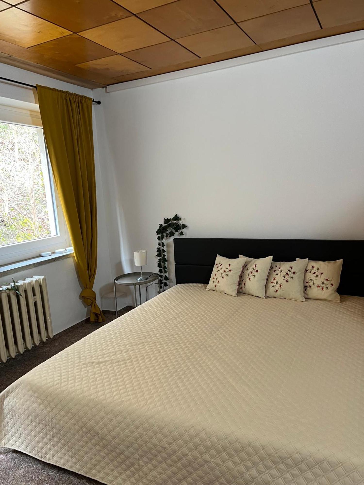 Pension Sternschnuppe, Treseburg Harz, Unmittelbar Am Wasser Тале Екстериор снимка