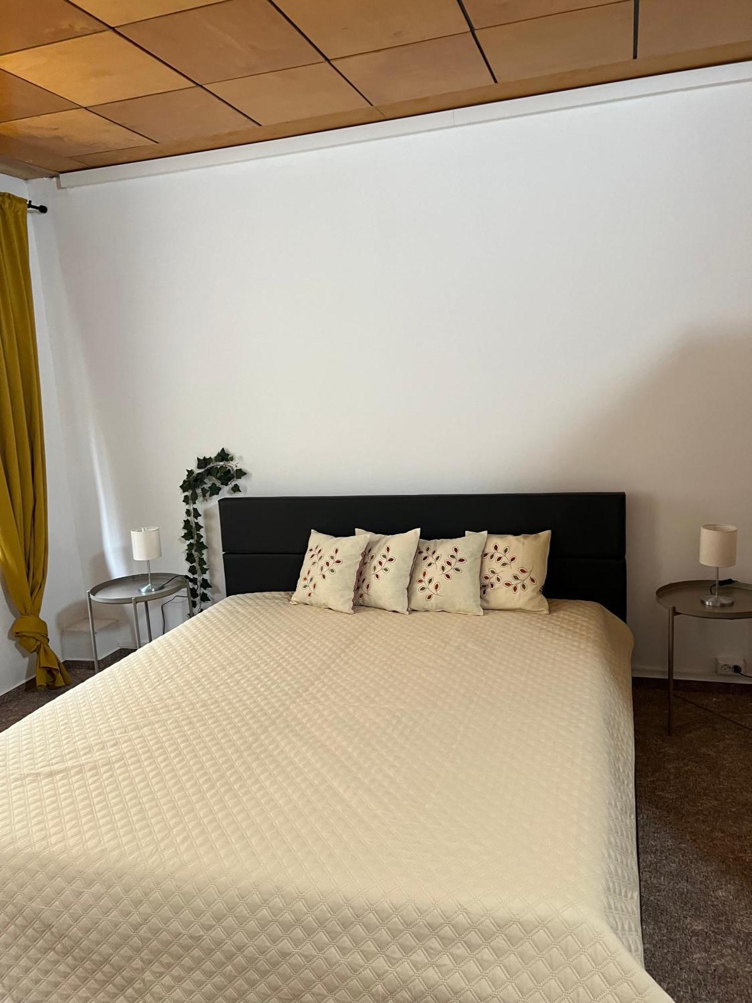Pension Sternschnuppe, Treseburg Harz, Unmittelbar Am Wasser Тале Екстериор снимка